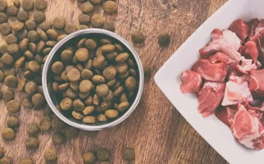 ドッグフードの正しい選び方